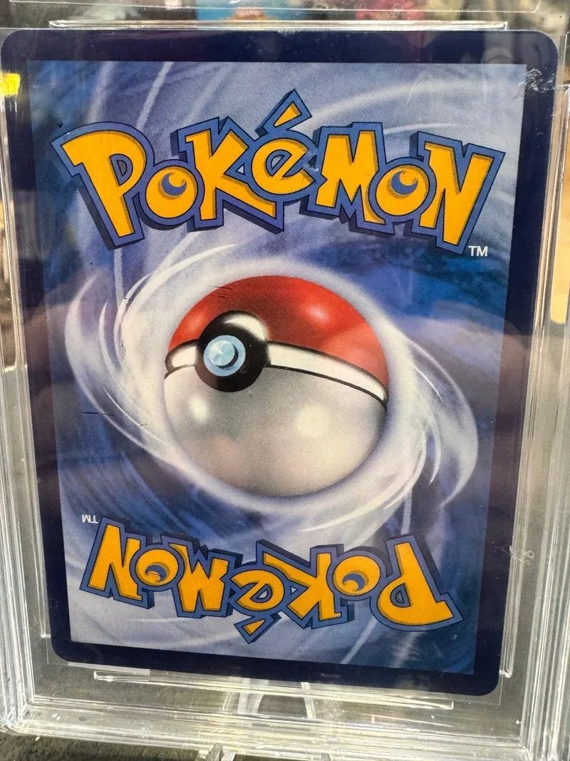 Pokémon Terapagos ex 248/208 SAR Grado 10 🇨🇳
