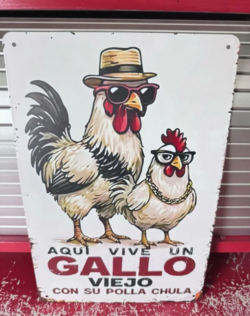 Cartel Metal Gallo Viejo Humor Multicolor