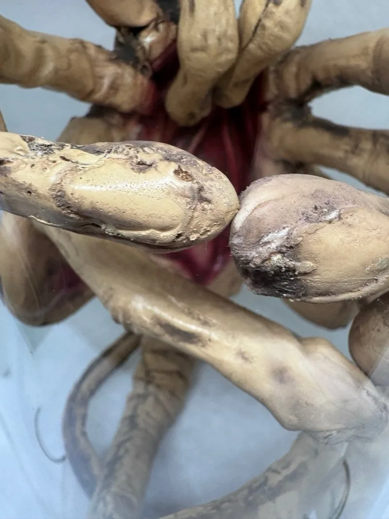 Facehugger Alien Abrazacaras Escala 1:1