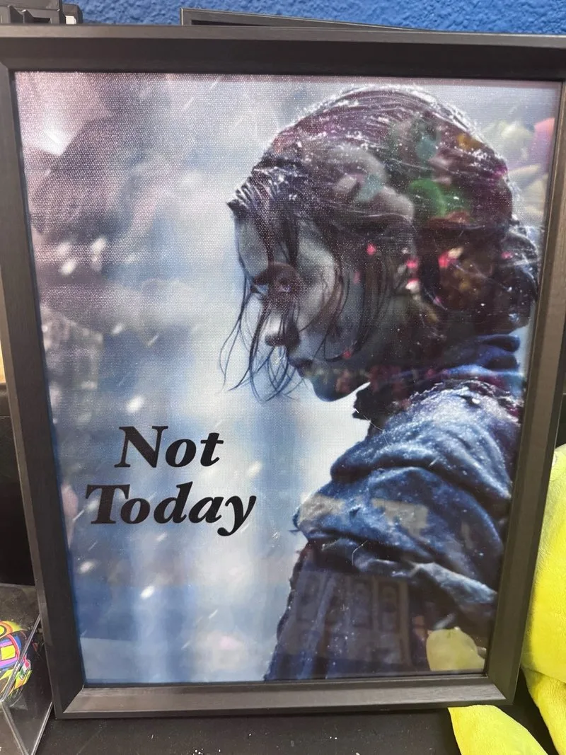 Cuadro Arya Stark Juego Tronos Not Today