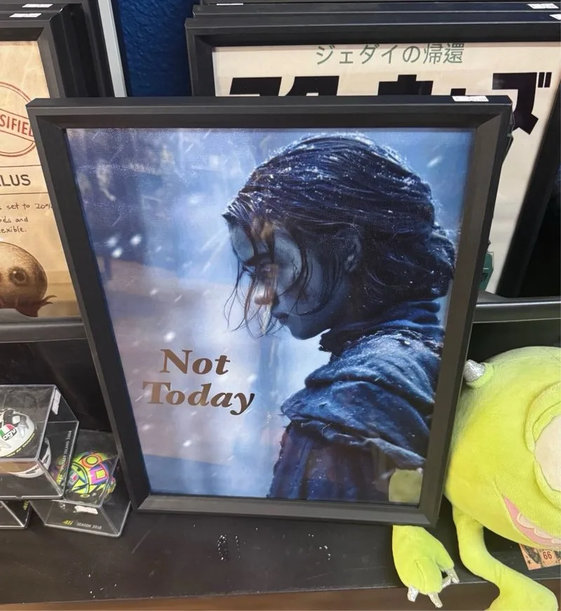 Cuadro Arya Stark Juego Tronos Not Today