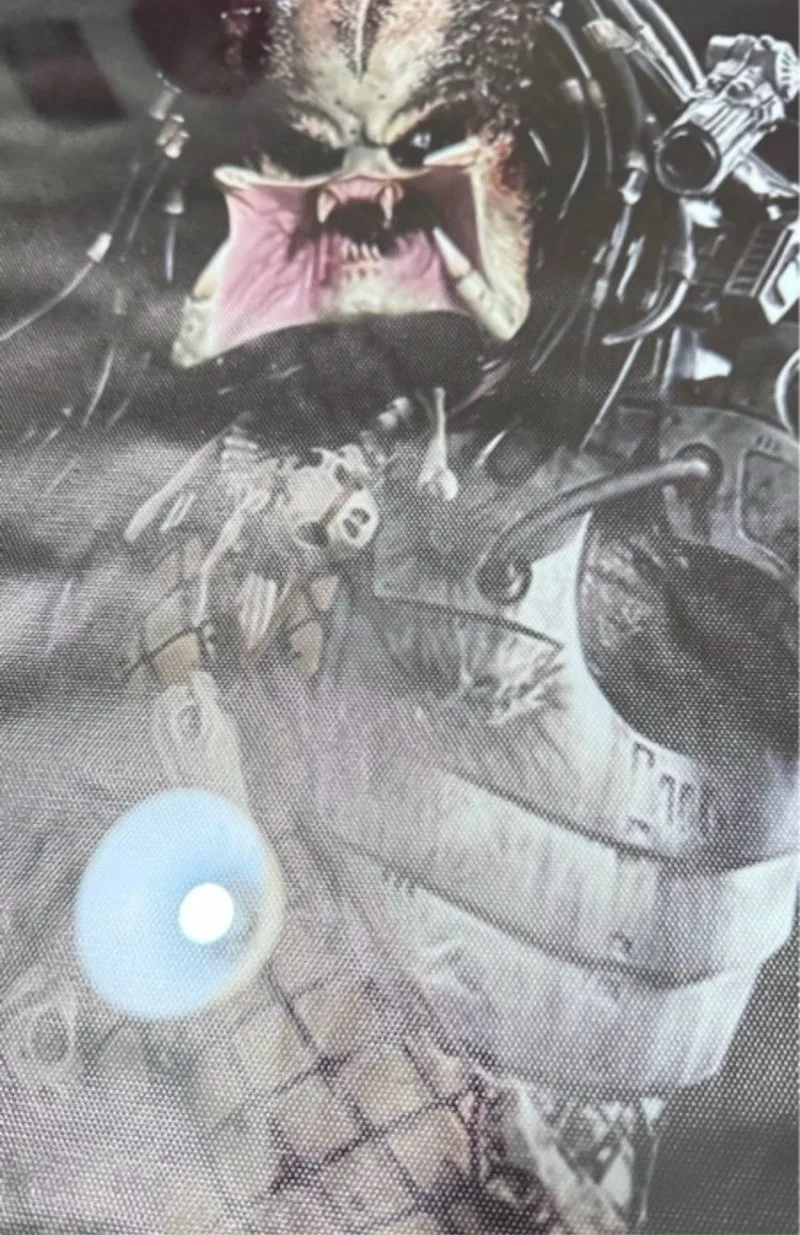 Póster Predator 30x40