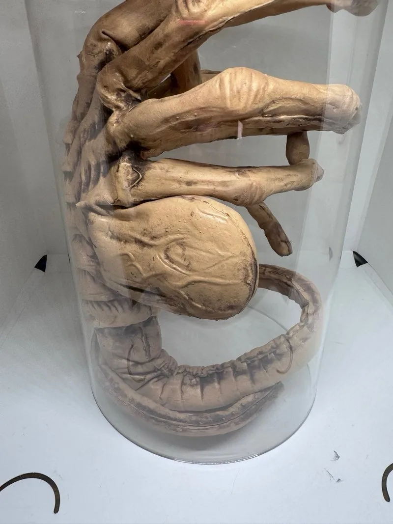 Facehugger Alien Abrazacaras Escala 1:1