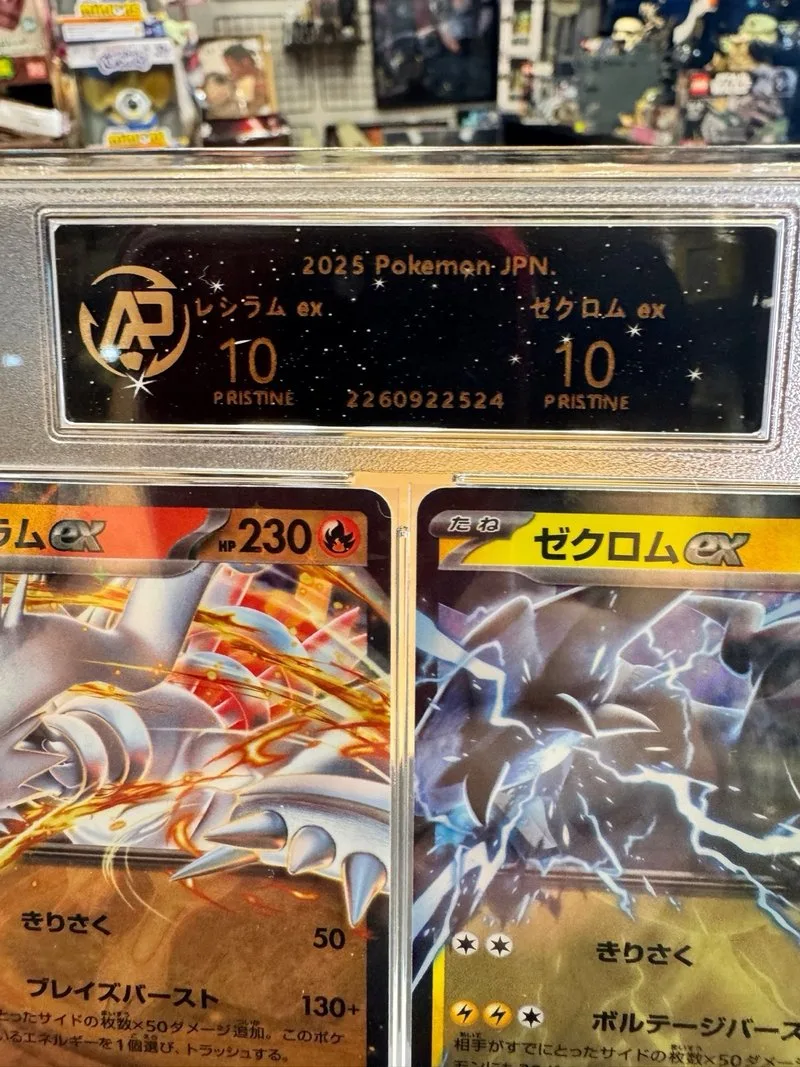 Pokemon JPN Reshiram y Zekrom Grado 10