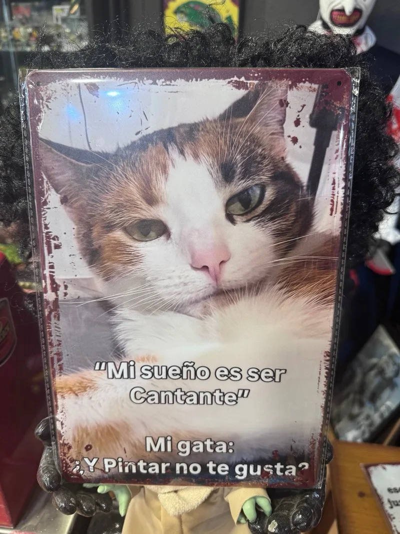 Cartel Metal Gatos Mi sueño es ser Cantante
