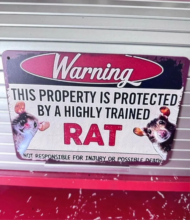 Cartel Metal Warning Ratas entrenadas