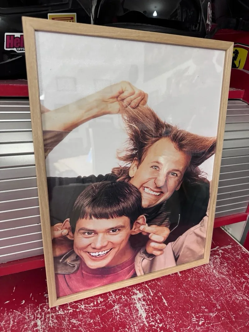 Pelicula dos tontos muy tontos Jim Carey