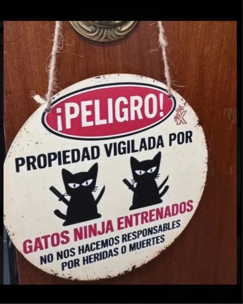 Cartel Madera Peligro Gatos Ninja Humor