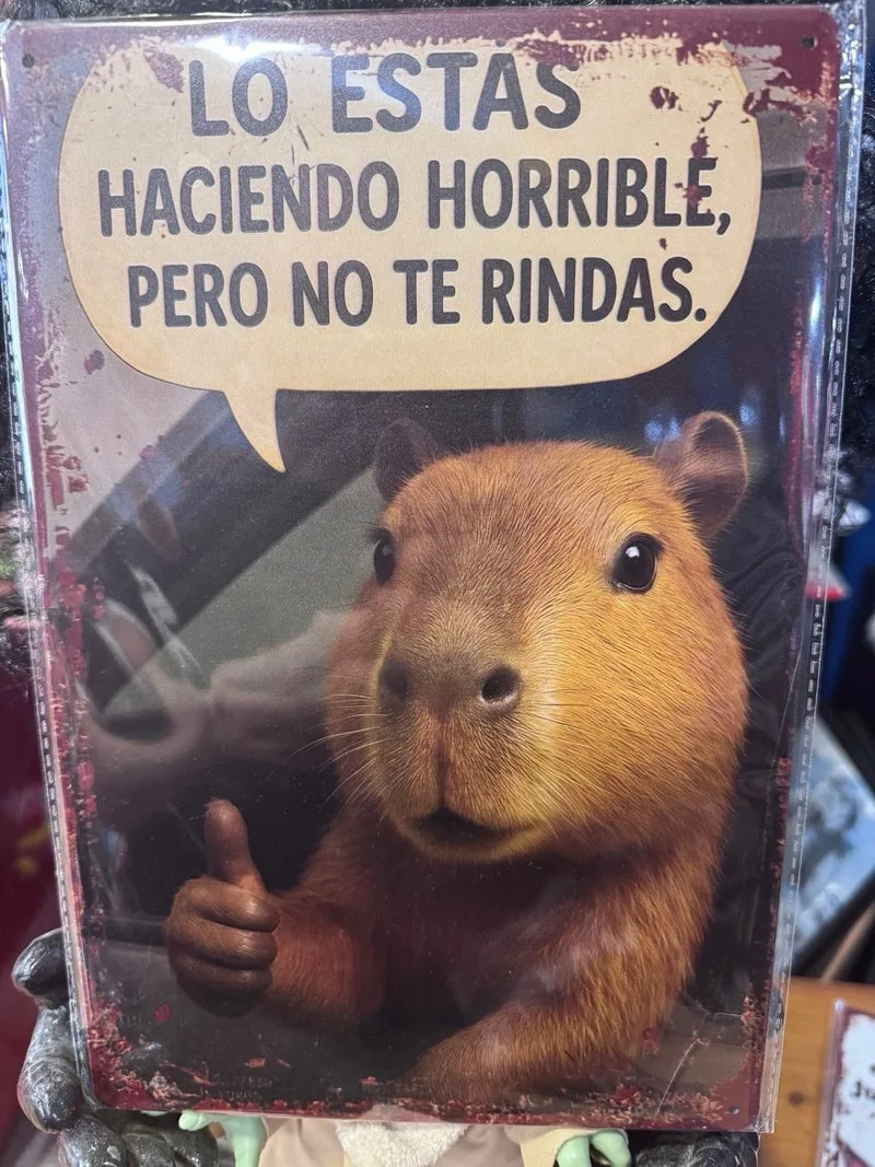 Cartel Humor Capibara No te rindas