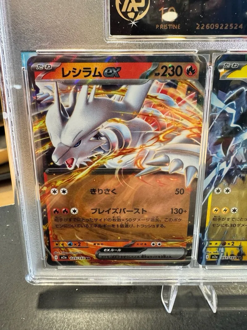 Pokemon JPN Reshiram y Zekrom Grado 10
