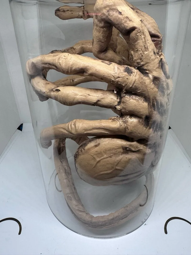 Facehugger Alien Abrazacaras Escala 1:1